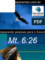 Aprendendo Com Os Gansos