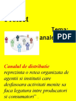 Canale de Distributie