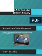 Cell City Analogy Powerpoint