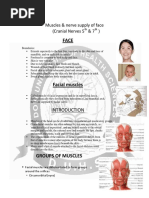 Lips Structure | PDF | Lip | Human Anatomy