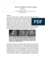 Joao Ribeiro - Referencia Veterinaria - Neurologia - Ressonancia Magnetica