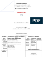 Enfermería crítica U de G: Razonamiento diagnóstico y cuidados intensivos