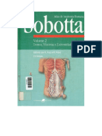 Anatomia Humana Sobotta Volume 02 PDF