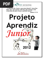 Projeto Aprendiz Junior