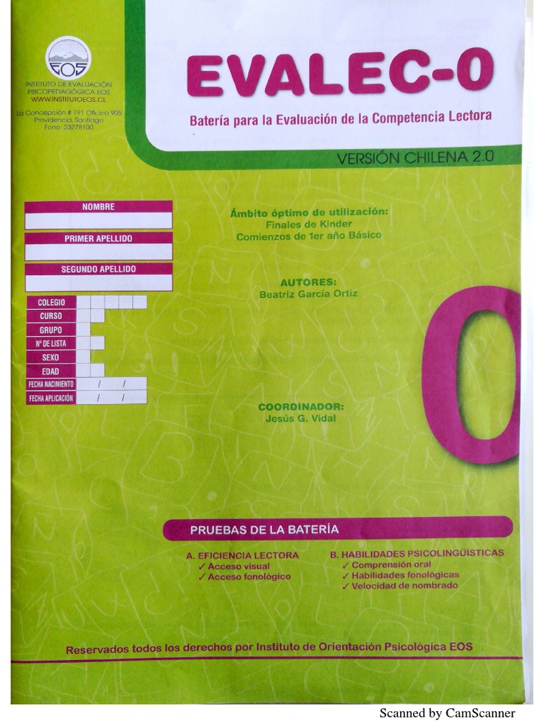 Constilex and Evalec 0 Overview | PDF