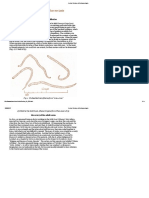 KLUXEN_A Short History of Onchocerciasis