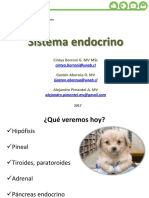 Clase 5 Endocrino