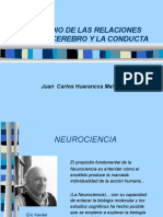 Cerebro y Conducta Corregido