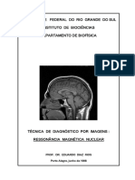 IRMN_manuscrito.pdf