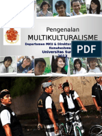 Multikulturalisme 2013