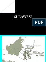 08 Sulawesi