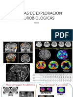 Tecnicas de Exploracion