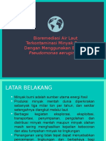 Bioremediasi Air Laut Minyak Bumi Bakteri Pseudomonas aeruginosa