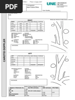 Carotid Doppler Ultrasound Report Format | PDF