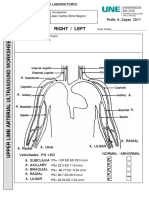 Arterial-Upper-Limb-Worksheet Sono 336