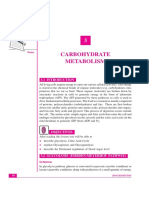 Carbohydrate Metabolism: Notes