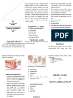 Leaflate CA RECTI