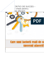 Factorii Critici de Succes Pentru o Afacere