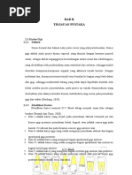 Download Bab 2 Revisi by rendi SN348611897 doc pdf