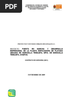 Desarrollo Empresarial de La Planta Empacadora de Platano