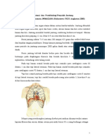 Anatomi-dan-Patofisiologi-Jantung.doc