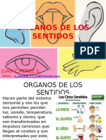 Organos de Los Sentidos-Examen - Sabado Imprimir...