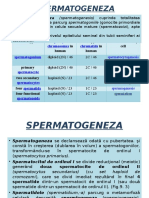 GAMETOGENEZA Spermatogeneza Ovogeneza