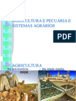 Agricultura e Pecuária e Sistemas Agrários 1 Fase......