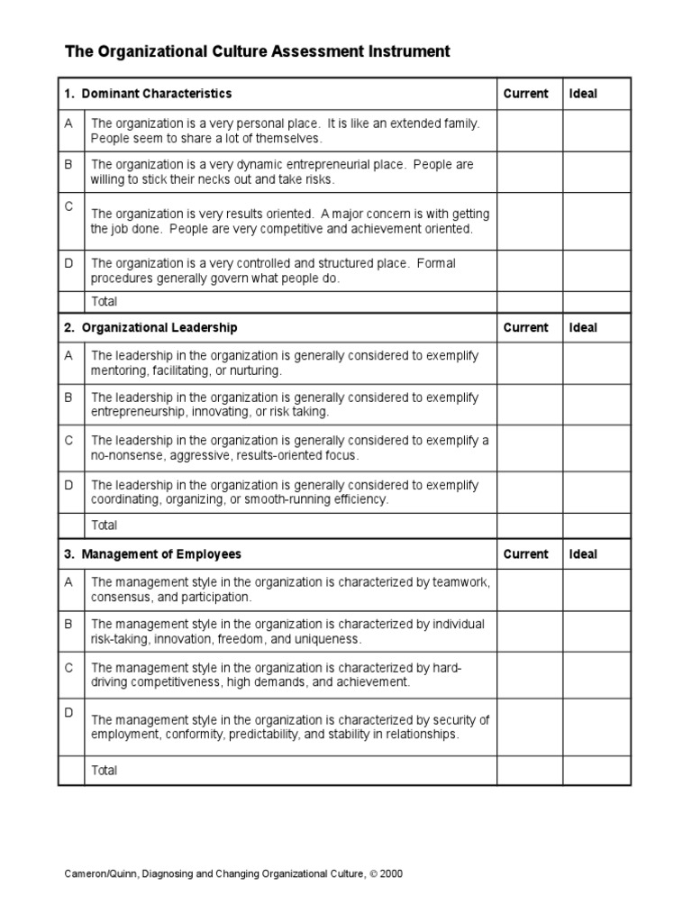 OCAI Assessment | Organizational Culture | Leadership