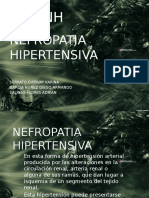 nefropatia_hipertensiva.ppt