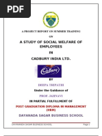 Final Cadbury Project 1