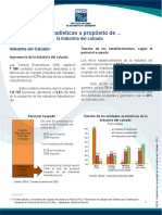 Calzado PDF