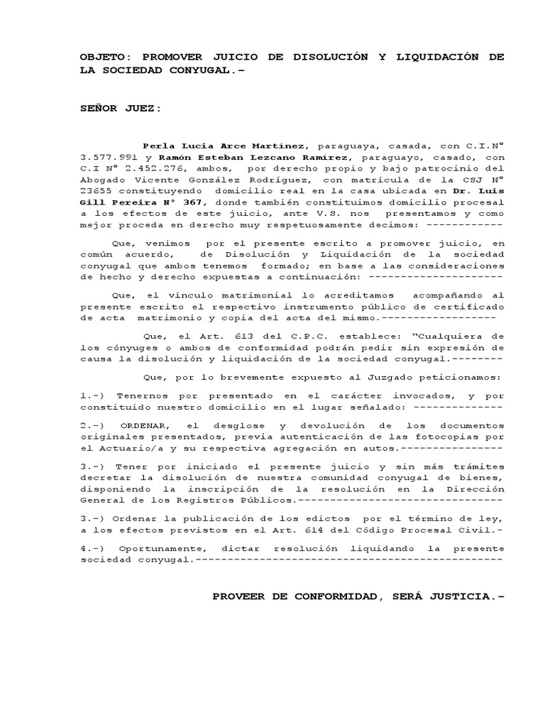 Demanda liquidación sociedad conyugal