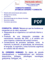2017 La Conducta Humana PDF