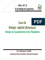 Cours BV - S2 - Biologie Des Champignons SVT S2 PDF