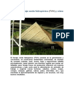 FVH Artesanal Forraje Verde Hidropónico