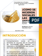 Como Se Hicieron Sociales Las Abejas