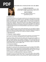 XIX JIC2011 Caroline Santos Silva