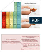 Diptico de Anemia en Embarazo