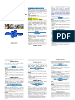 Triptico Seguridad Integral 2017