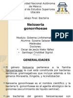 Susana Salazar Melendez  Neisseria gonorrhoeae grupo 2234.pptx