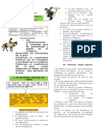 guia20_chilecolonial_historia_5basico (1).doc