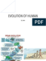 Evolution of Human: by Jean