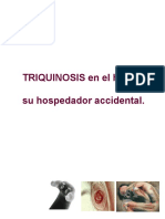 Triquinosis: causas, síntomas y prevención