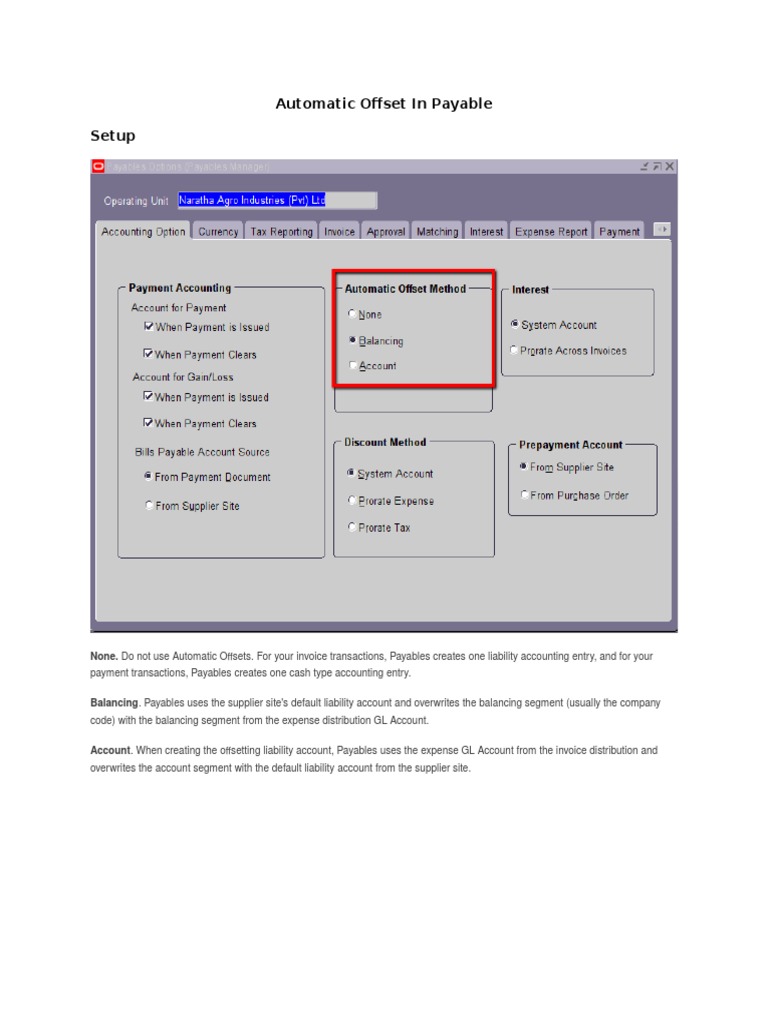 Payables Offset Setup Guide | PDF | Business | Computers