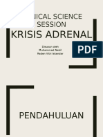 Css Krisis Adrenal