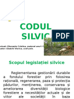 Codul Silvic