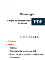 2-Osteologia