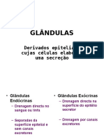 13-GLÂNDULAS