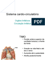 6 Sistema Linfático